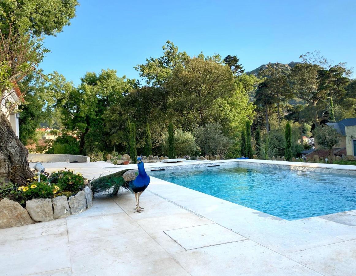 Villa A Capela - A Essência de Sintra Extérieur photo
